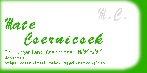 mate csernicsek business card